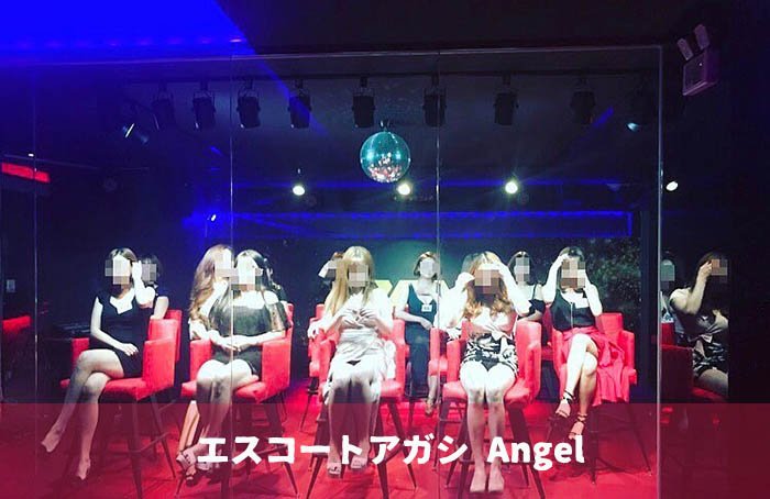 フルサロン について詳しく