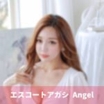 韓国夜遊び エスコートアガシ