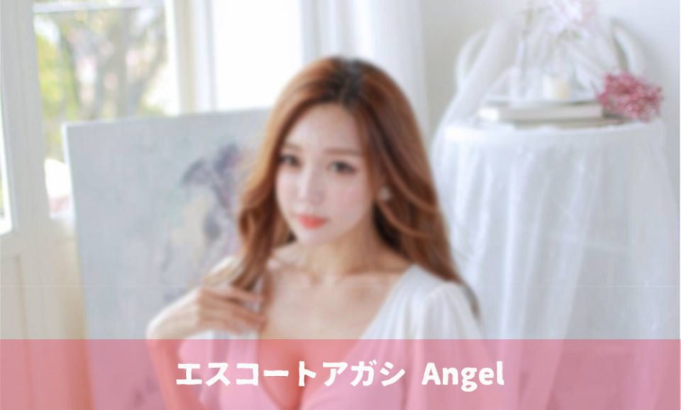 韓国夜遊び エスコートアガシ