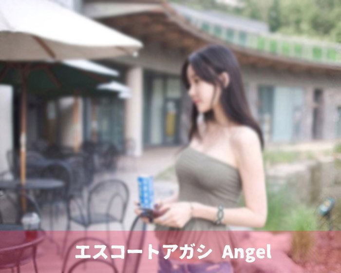 エスコートアガシは日本人専用のサービスです。