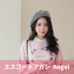 エスコートアガシのご紹介は、エスコートアガシ紹介専門サイトがお勧めです！