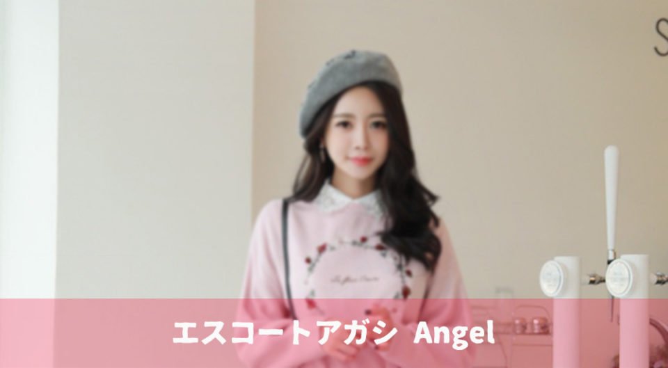 エスコートアガシのご紹介は、エスコートアガシ紹介専門サイトがお勧めです！