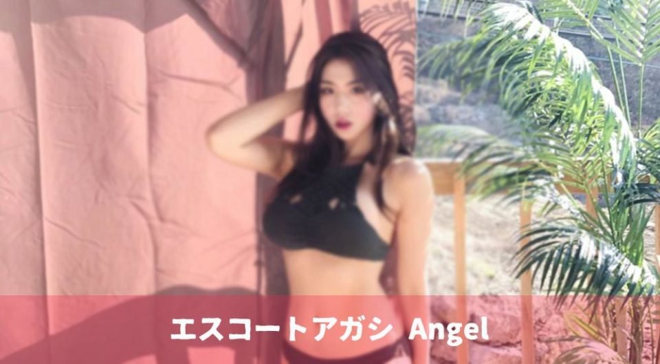 エスコートアガシ紹介専門サイトでは、ご利用されるお客様の為に、ご紹介サービスを充実させてます。