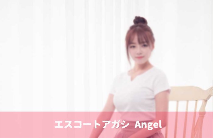 エスコートアガシと韓国 日本のビールと韓国のビールの違い