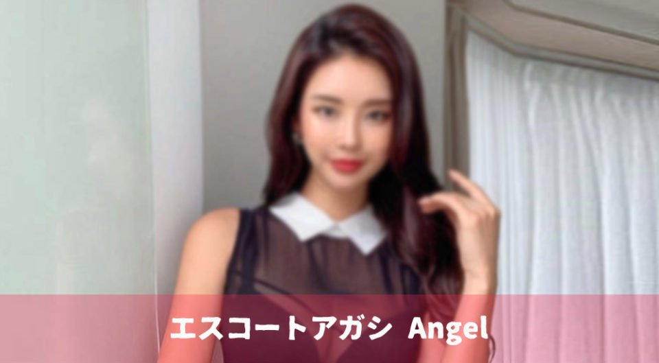 韓国アガシ エンジェル が紹介するエスコートアガシ