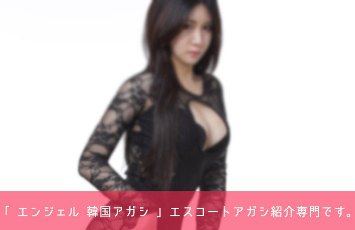 韓国 エスコートアガシ のシステム 韓国 エスコートアガシ のシステム