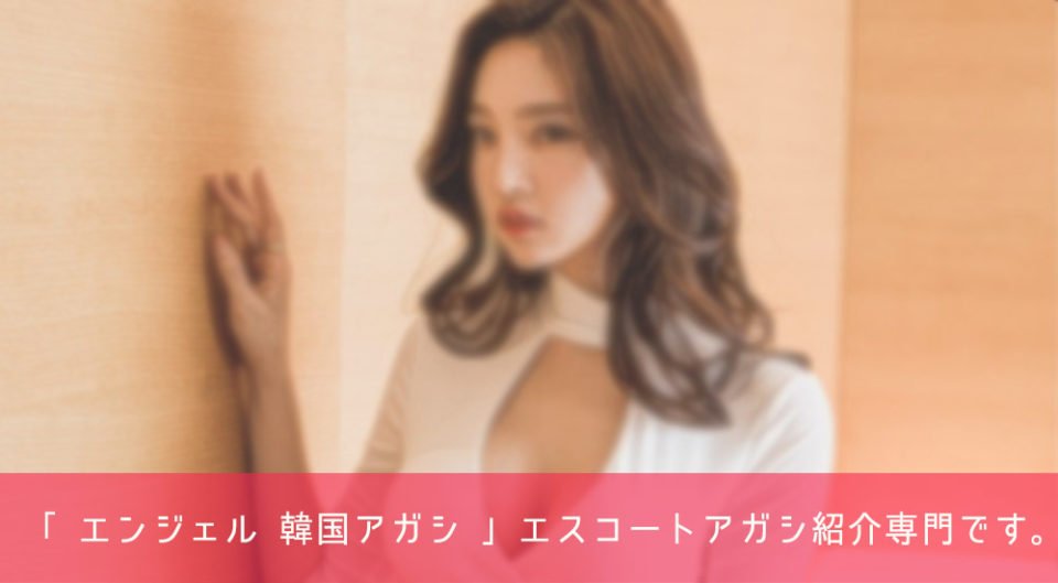 韓国 エスコートアガシ 韓国夜遊び