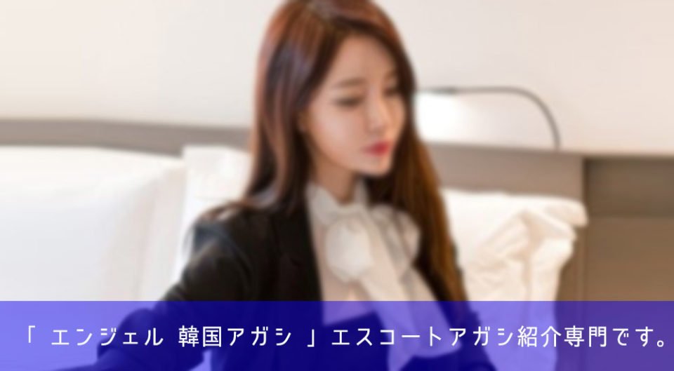 韓国 夜遊び エスコートアガシ