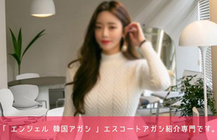 ソウルエスコートアガシ の詳しい内容